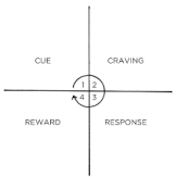 The habit loop as described by James Clear The habit loop as described by James Clear