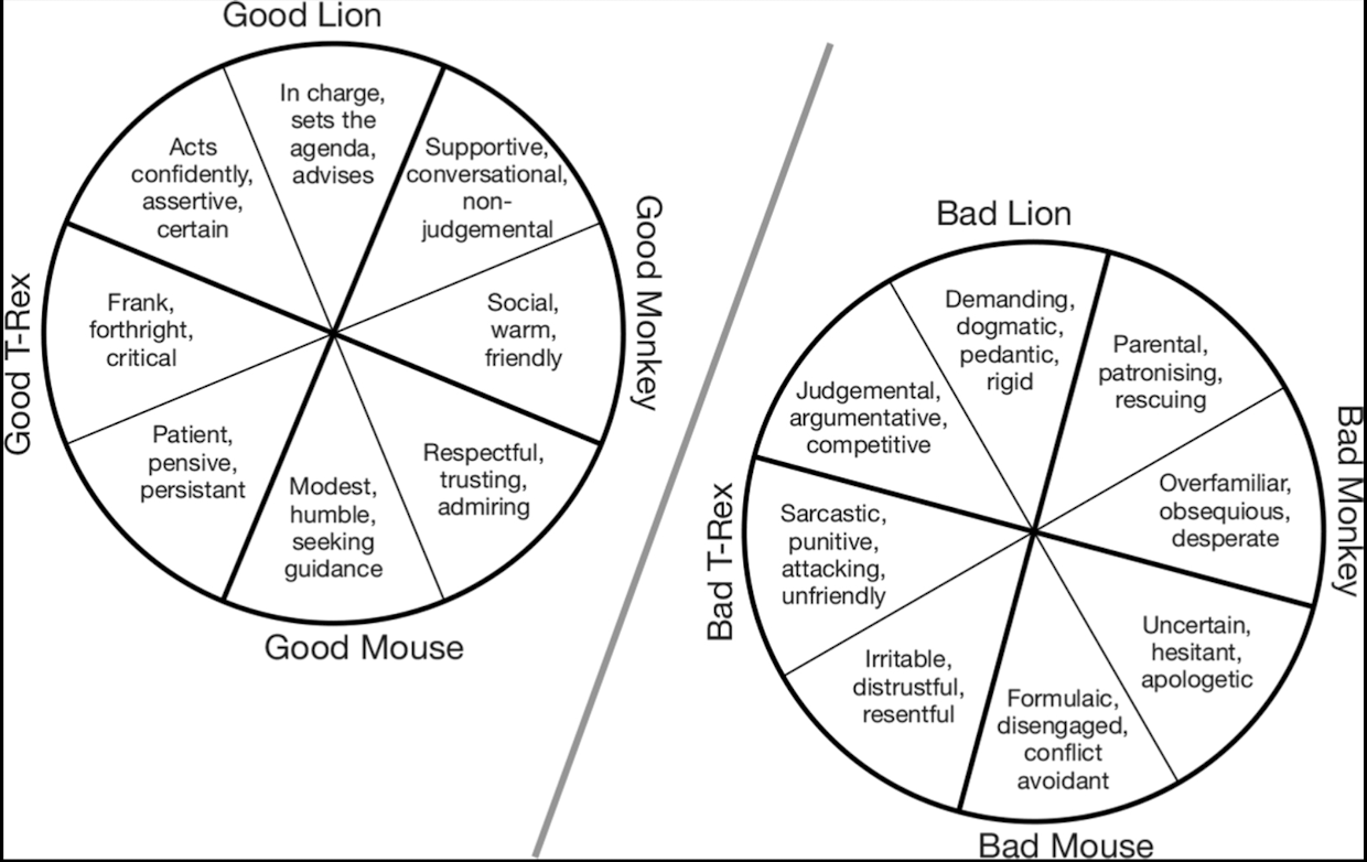 Animal Circle Animal Circle